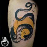 Snake tattoo by Scott M. Harrison #ScottMHarrison #neotraditional #nature #snake