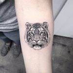 Superb tiger tattoo by Elizabeth Markov #ElizabethMarkov #monochrome #blackandgrey #realistic #tiger