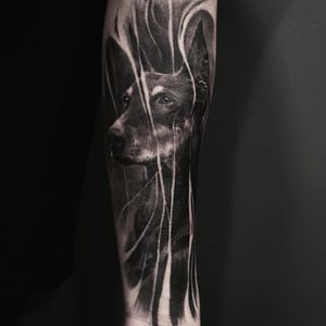 Doberman Pinscher tattoo by Cold Gray #ColdGray #blackandgrey #realism #realistic #hyperrealism #petportrait #dog #animal #Doberman #DobermanPinscher #nature #smoke