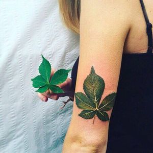Leaves Tattoo by Pis Saro @Pissaro_tattoo #PisSaro #PisSaroTattoo #Nature #Watercolor #Naturetattoo #Watercolortattoo #Botanical #Botanicaltattoo #Crimea #Russia
