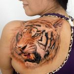 Tiger tattoo by Kobay Kronik. #realism #colorrealism #tiger #KobayKronik