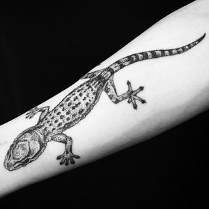 A hand-poked depiction of a leopard gecko by Sarah Lu (IG—needleandchopsticks). #blackwork #handpoked #leopardgecko #SarahLu #stickandpoke