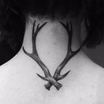 Antler tattoo by Jillian Wefald. #blackwork #antler #horn #deer