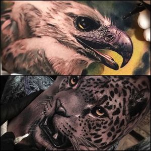 These two critters show how Alex Bruz (IG—alexbruz) sometimes uses color to accentuate his black and grey realism. #AlexBruz #blackandgrey #color #hawk #jaguar #realism