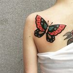 Butterfly by Sany Kim (via IG-kimsany) #butterfly #insect #animal #illustrative #color #bug #SanyKim