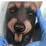 Raccoon Tattoo by Samuel Rico #raccoon #raccoontattoo #blackandgrey #blackandgreyrealism #realism #animaltattoo #realisticanimal #realismanimaltattoo #blackandgreyanimal #SamuelRico