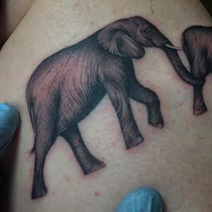 Clean and solid elephant tattoo by Ricky Williams. #RickyWilliams #blackandgrey #monochromatic #monochrome  #elephant #blackandgray