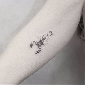 Scorpion rose tattoo by Kane Navasard #KaneNavasard #blackandgrey #scorpion #rose #miniature #minimalism