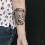 Lion by Sven Rayen (via IG-svenrayen) #lion #geometric #linework #3D #animal #blackandgrey #illustrative #SvenRayen
