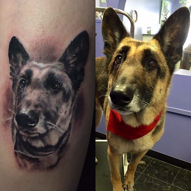 14 German Shepherd Tattoos For True Breed Lovers  Page 2 of 3  PetPress  German  shepherd tattoo Dog tattoos Gsd tattoo