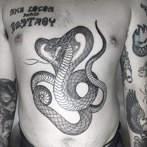 Cobra Tattoo by Nathan Kostechko #cobra #cobratattoo #blackandgreycobra #blackandgrey #blackandgreytattoo #blackandgreytattoos #fineline #finelinetattoo #blackwork #detailed #NathanKostechko