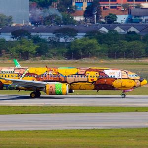 Completed plane done by OSGEMEOS for Gol Airlines during the 2014 World Cup in Brazil. #osgemeos #plane #mural #streetart #golairlines #worldcup2014 #brazil