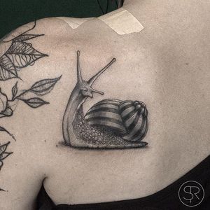 Striped Snail by Sven Rayen (via IG-svenrayen) #geometric #blackandgrey #animal #snail #illustrative #svenrayen