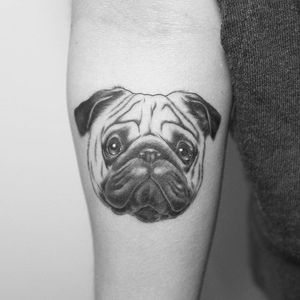 Cute blackwork pug tattoo by Georgie Harrison #Pug #pugtattoo #dog #blackwork #linework #GeorgieHarrison