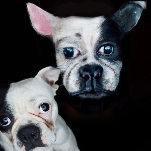 Twins by Emily Anderson (via IG-likecharity) #makeupartist #mua #bodypaint #halloween #pet #dog #bostonterrier #EmilyAnderson