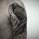 Crow tattoo by Taras Shtanko #TarasShtanko #dotwork #nature #crow #animalskull