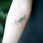 Rosemary by Nando Tattoo (via IG-nandotattooer) #tinytattoo #microtattoo #flora #fauna #NandoTattoo