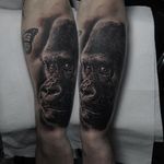 Gorilla Tattoo by Edgar Ivanov #Gorilla #BlackandGrey #BlackandGreyRealism #BlackandGreyTattoos #PortraitTattoos #Realism #EdgarIvanov