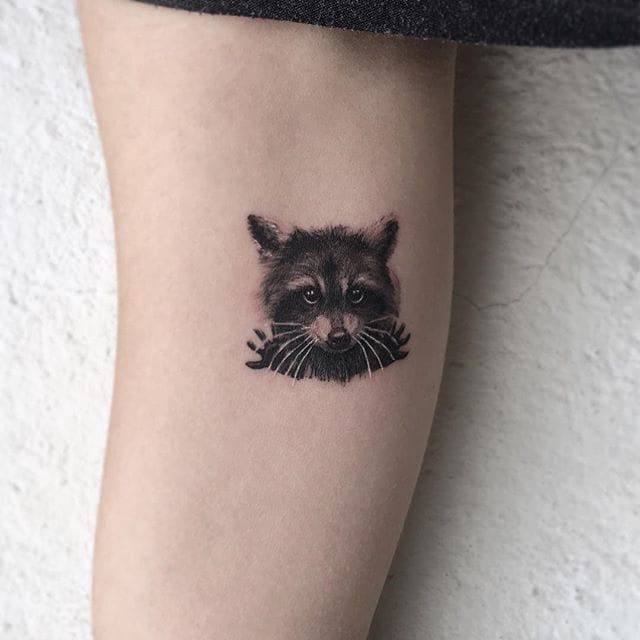 Raccoon mini tattoo  Mini tattoos Minimalist tattoo Small tattoos