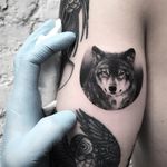 Wolf tattoo by Ricky Williams #RickyWilliams #besttattoos #blackandgrey #realism #realistic #hyperrealism #wolf #animal #forest #small #detailed #dog #petportrait #tattoooftheday