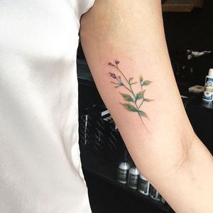 Baby melastoma tattoo by Luiza Oliveira. #LuizaOliveira #fineline #floral #feminine #flower #melastoma #botanical