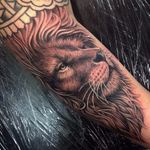 Black and grey lion tattoo by Beau Parkman. #blackandgrey #realism #BeauParkman #lion #bigcat