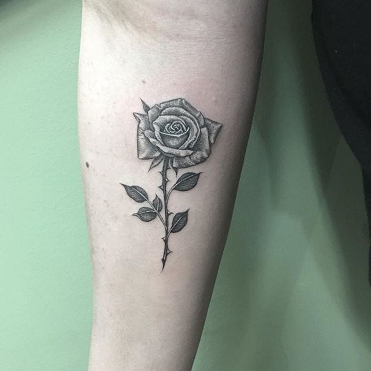 Tattoo Uploaded By Robert Davies • Rose Tattoo By Em Scott #rose #roses 