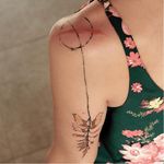 Graphic tattoo made at La Bottega dell'Arte #labottegadellarte #graphic #contemporary #botanical