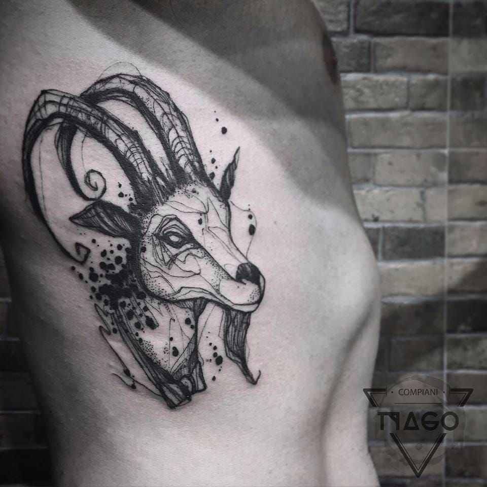 A drawing I did a while ago thought you guys might like it  Aries tattoo  Drawings Animal tattoos