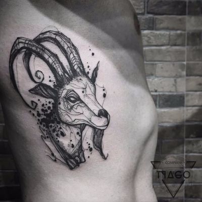 Bode estilo sketch #TyagoCompiani #tatuadoresbrasileiros #tatuadoresdobrasil #sketch #blackwork #bode #goat #chifres #horns