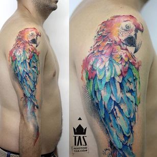 Tatuaje de loro por Rodrigo Tas #WatercolorTattoo #WatercolorTattoo #WatercolorArtists #Watercolor #Brazil #BrazilianTattooArtists #RodrigoTas #bird