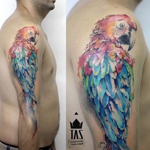 Parrot Tattoo by Rodrigo Tas #WatercolorTattoos #WatercolorTattoo #WatercolorArtists #Watercolor #Brazil #BrazilianTattooArtists #RodrigoTas #parrot #bird