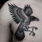 Crow Tattoo by Pavlo Balytskyi #crow #crowtattoo #blackwork #blackworktattoo #illustrative #illustrativetattoo #blackink #PavloBalystskyi