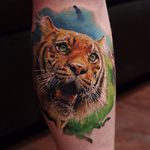Tiger Tattoo by Dmitry Vision #tiger #tigertattoo #portrait #portraittattoo #colorrealism #colorrealismtattoo #colorrealismtattoos #realistictattoos #colorfultattoos #DmitryVision