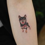 Shiba Inu dog tattoo by Saegee #Saegee #saegeemtattoo #dogtattoos #color #realistic #realism #hyperrealism #dog #petportrait #shibainu #bandana #cute #animal
