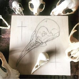 Animal skull drawing by Červená Fox! Photo from Facebook page. #cervenafox #tattooing #tattoos #skulltattoo