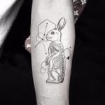 Bunny Within by Okanuckun #Okanuckun #linework #blackwork #dotwork #rabbit #bunny #constellation #geometry #shapes #abstract #bones #anatomy #animal #nature #tattoooftheday