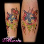 Gatinho Rei. #InkedByMario #MarioGregor #aquarela #watercolor ##TatuadorGringo #colorida #colorful #gato #cat #rei #king #coroa #crown