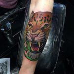 Tiger Tattoo by Chris Veness #tiger #tigertattoo #neotraditional #neotraditionaltattoo #neotraditionaltattoos #neotraditionalanimal #animaltattoos #ChrisVeness