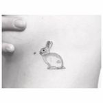Sweet rabbit tattoo by Jakub Nowicz #fineline #JakubNowicz #blackandgray #blackandgrey #finelineblackandgrey #minimalistic #linework #small #rabbit