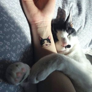 Cattoo via instagram soltattoo #cat #Cattoo #pet #petportrait #color #soltattoo #microtattoo