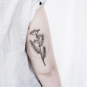 Botanical tattoo by Uls Metzger #UlsMetzger #monochrome #dotwork #blackwork #botanical