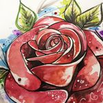Rose tattoo design close-up by Angharad Chappell #AngharadChappell #rose #watercolour