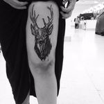 Cervo por Alexandre Aske! #AlexandreAske #Ttatuadoresbrasileiros #tatuadoresdobrasil #tattoobr #tattoodobr #sketchtattoos #sketch #cervo #deer