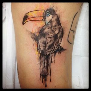 #GuinhoTattoo #Brasil #Brazil #brazilianartist #tatuadoresdobrasil #pássaro #bird #tucano