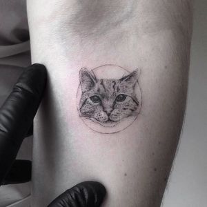 Gatíneo por Farfalla Ink! #FarfallaInk #tatuadorasbrasileiras #Brasil #SãoPaulo #TattooBr #blackwork #fineline #dotwork #cat #gato #kitty #kitten #delicate #delicada