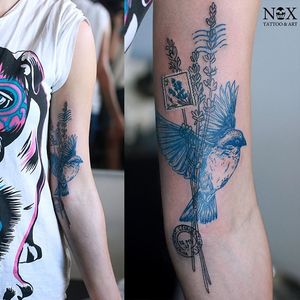 Bird tattoo by Matty Nox #MattyNox #watercolor #bird