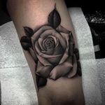 Excellent shading on this delicate rose tattoo by Bobby Loveridge @bobbalicious_tattoo #black #blackandgray #churchyardtattoostudio #uk #rose