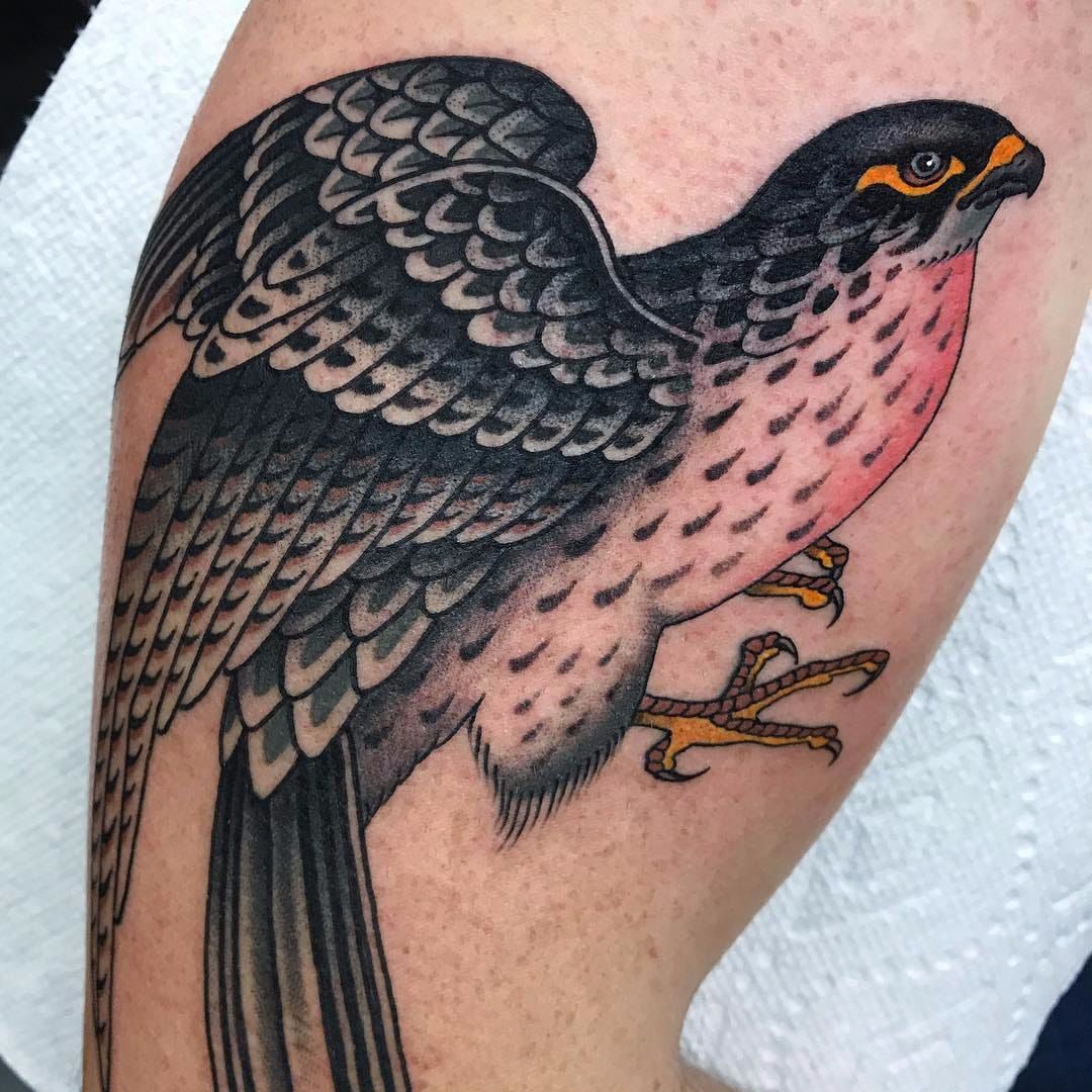 traditional falcon tattoos  Google Search  Hawk tattoo Falcon tattoo Traditional  tattoo