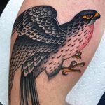 The Maltese Falcon by Shaun Topper #ShaunTopper #traditional #falcon #bird #eagle #blackandgrey #color #nature #tattoooftheday